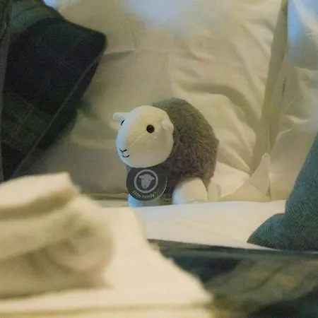 Guest house The Mardale