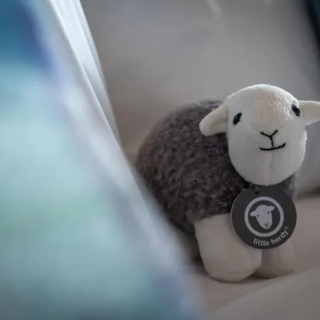 The Mardale Guest house Bampton (Cumbria)